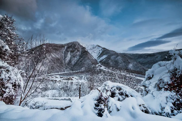 Alberi Invernali Montagne Coperte Neve Fresca Bellissimo Paesaggio Con Rami — Foto Stock