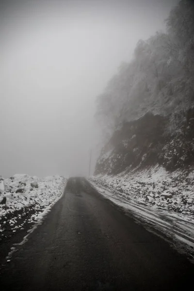 Árboles Invierno Montañas Cubiertas Nieve Fresca Hermoso Paisaje Niebla Con — Foto de Stock