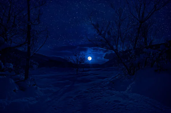 Mountain Road Genom Den Snöiga Skogen Fullmåne Natt Naturskönt Vinterlandskap — Stockfoto