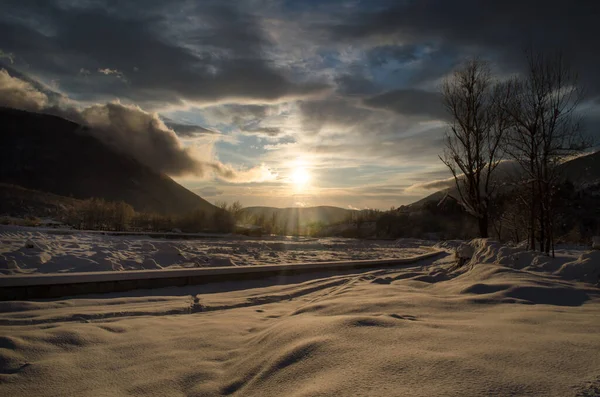 Tramonto Nel Bosco Tra Gli Alberi Ceppi Nel Periodo Invernale — Foto Stock