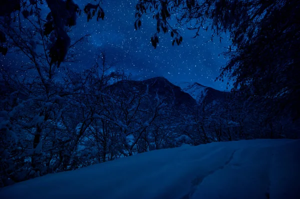Mountain Road Travers Forêt Enneigée Par Une Nuit Pleine Lune — Photo