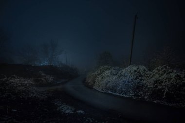 Dolunay gecesi karlı ormanda Dağ Yolu. Ay ve yıldızlı, koyu mavi gökyüzü manzaralı gece manzarası. Azerbaycan