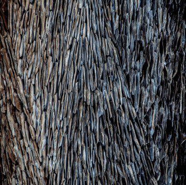 Doğal nehir taşı duvarı. Zemin taşı, gri zemin ve bir sürü küçük taş. Kaya dokusu arka planı, makro fotoğrafçılık