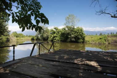Azerbaycan 'ın kuzeyinde güzel bir yaz manzarası. Güneşli bir gün.