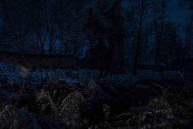 Kış ormanındaki ahşap ev. Geceleri karlı bir dağ evinde. Sisli bir gece. Uzun pozlu çekim