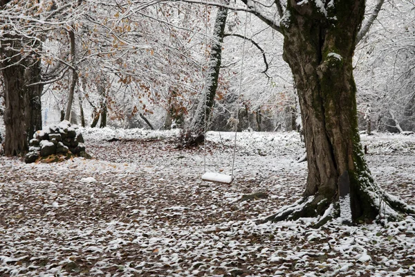 Escena Solo Columpio Colgando Rama Del Árbol Bosque Nevado Invierno —  Fotos de Stock