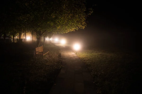 Trees and street lamps on a quiet foggy night. Foggy misty evening lamps in empty road at forest.