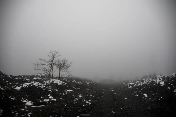 Winter Trees Mountains Covered Fresh Snow Beautiful Foggy Landscape Branches — Stock Photo, Image