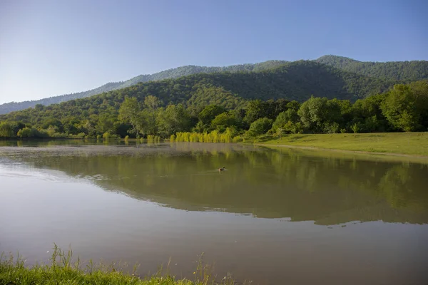 Beautiful Summer Landscape Lake North Azerbaijan Sunny Day — Stock Photo, Image