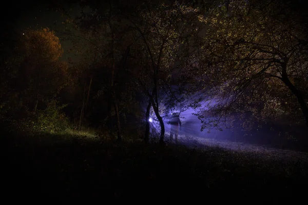Σιλουέτα Ανθρώπου Που Στέκεται Στο Σκοτεινό Δάσος Φως Αποκριές Τρόμου — Φωτογραφία Αρχείου