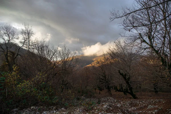 Günbatımında asfalt dağ yolu olan renkli sonbahar ormanıyla muhteşem bir manzara. Sonbaharda akşamları boş yollar, ağaçlar ve güneş ışığı olan güzel bir manzara. Seyahat geçmişi. Doğa