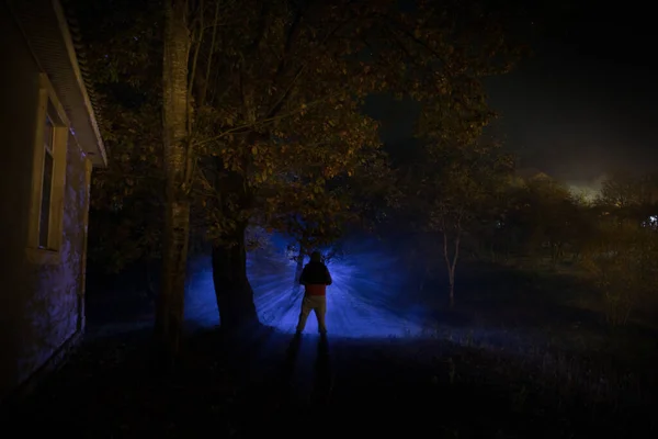 人のシルエットは 暗い森の中で光と立っている ホラーハロウィンのコンセプト 夜の暗い不気味な森の中の奇妙なシルエット — ストック写真