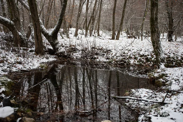 Fantastisk Utsikt Över Liten Damm Snöig Vinterskog Ett Lugnt Kvällslandskap — Stockfoto