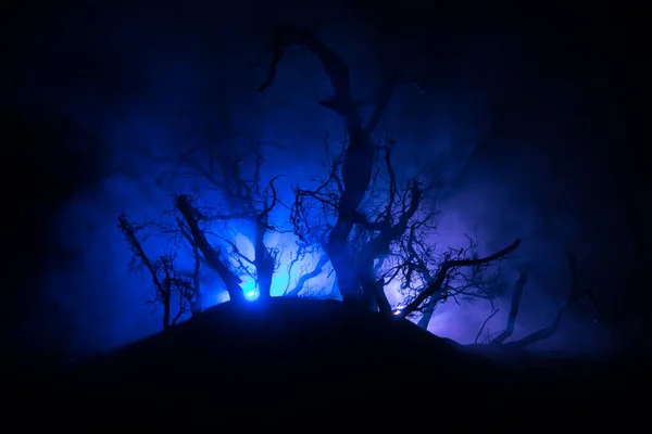 雾蒙蒙的夜晚 阴暗的景象展现了沼泽中树木的轮廓 在寒冷的夜晚 神秘的森林 树梢映衬着满月 夜空阴云密布 — 图库照片