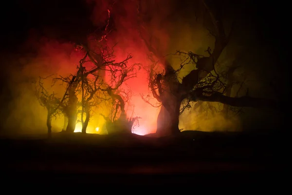 Straszny Ciemny Krajobraz Ukazujący Sylwetki Drzew Bagnach Mglistą Noc Noc — Zdjęcie stockowe