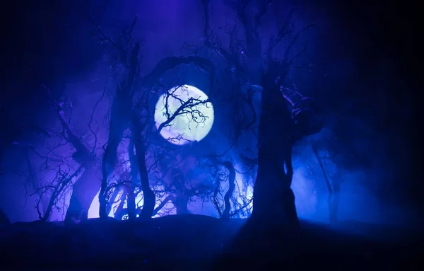 Gespenstisch Dunkle Landschaft Mit Silhouetten Von Bäumen Sumpf Nebliger Nacht — Stockfoto