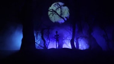 Dolunay sırasında sisli bir gecede bataklıktaki ağaç siluetlerini gösteren ürkütücü karanlık bir manzara.