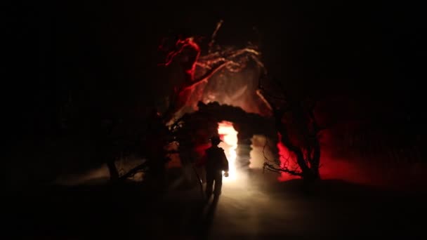 霧の夜のシルエットを示す不気味な暗い風景 — ストック動画