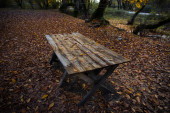 Starý dřevěný stůl s listy padajícími do lesa, podzimní pozadí. Podzimní koncept.
