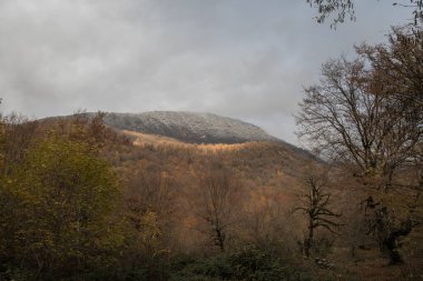 Günbatımında asfalt dağ yolu olan renkli sonbahar ormanıyla muhteşem bir manzara. Sonbaharda akşamları boş yollar, ağaçlar ve güneş ışığı olan güzel bir manzara. Seyahat geçmişi. Doğa