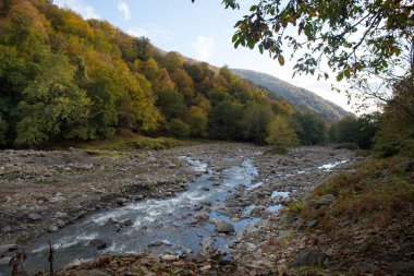 Güneşli bir sabahta dağ nehri. Dağlarda güzel doğa. Azerbaycan Kafkasya doğası.