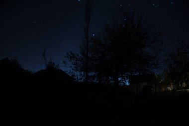 Geceleri ormanda bir hayaletin olduğu eski bir ev ya da terk edilmiş bir korku evi. Ölü ağaç ormanındaki eski mistik bina. Gerçeküstü ışıklar. Korku Cadılar Bayramı konsepti