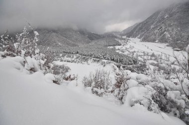 Dağlardaki kış ağaçları taze karla kaplıdır. Karla kaplı ağaç dallarıyla güzel sisli bir manzara. Kafkasya 'daki dağ yolunda. Azerbaycan