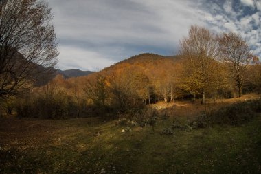 Günbatımında asfalt dağ yolu olan renkli sonbahar ormanıyla muhteşem bir manzara. Sonbaharda akşamları boş yollar, ağaçlar ve güneş ışığı olan güzel bir manzara. Seyahat geçmişi. Doğa