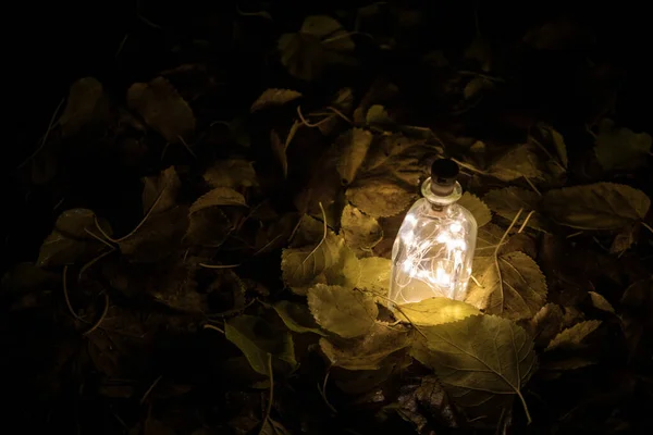Beautiful view of bottle with light at night at the garden. Lamp Magical fairy dust potion in bottle in the forest. Long exposure shot. Selective focus