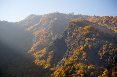 Renkli sonbahar ormanıyla muhteşem bir manzara. Sonbahar mevsiminde güzel ağaçlar. Azerbaycan Doğası