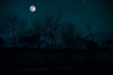 Sisli bir gecede ormanda bir hayaletin olduğu eski bir ev ya da House 'un ayın altında olduğu bir gece sahnesi. Ölü ağaç ormanındaki eski mistik bina..