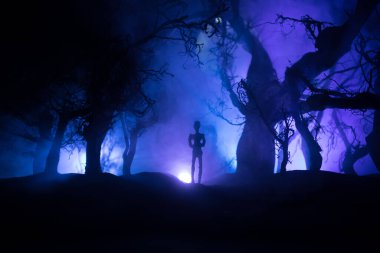 Kana susamış zombiler konsepte saldırıyor. Geceleri ölü ormanda yürüyen korkunç zombi silueti. Yaratıcı masa dekorasyonları. Seçici odak