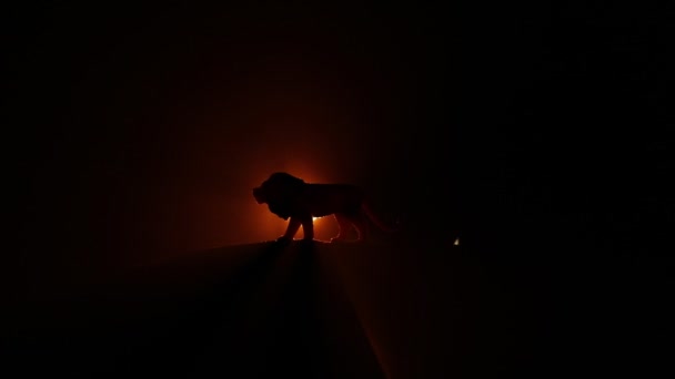 Silhouette Lion Miniature Avec Rétro Éclairage Coloré Avec Brouillard — Video