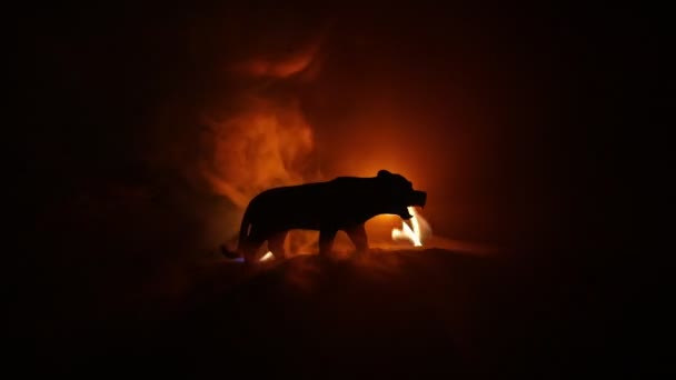 Силуэт Львиной Миниатюры Красочной Подсветкой Туманом — стоковое видео