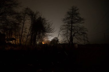 Sisli bir gecede ormanda bir hayaletin olduğu eski bir ev ya da House 'un ayın altında olduğu bir gece sahnesi. Ölü ağaç ormanındaki eski mistik bina..