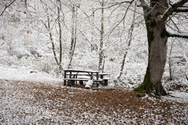 Kış ormanında karla kaplı eski ahşap bir masa. Karlı bir arka plan. kış doğası konsepti.