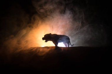 Sisli bir gecede duran kaplan minyatürünün silueti. Renkli arka planlı sisli yaratıcı dekorasyon. Seçici odak