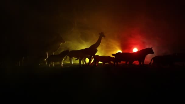 Close Beelden Van Dieren Figuren Donkere Achtergrond Met Kleurrijke Achtergrondverlichting — Stockvideo