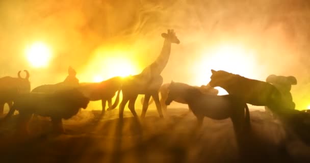 Imagini Aproape Ale Figurilor Animalelor Fundal Întunecat Iluminare Din Spate — Videoclip de stoc