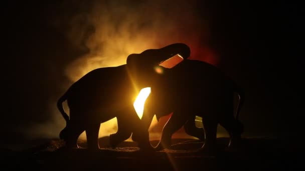 Silueta Miniatur Slonů Stojících Mlhavé Noci Kreativní Stolní Dekorace Barevným — Stock video