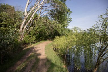 Azerbaycan 'ın kuzeyinde güzel bir yaz manzarası. Güneşli bir gün.