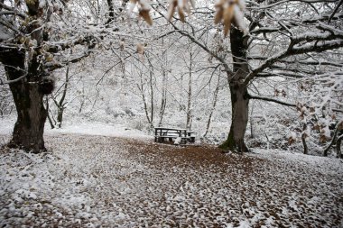Kış ormanında karla kaplı eski ahşap bir masa. Karlı bir arka plan. kış doğası konsepti.