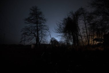 Sisli bir gecede ormanda bir hayaletin olduğu eski bir ev ya da House 'un ayın altında olduğu bir gece sahnesi. Ölü ağaç ormanındaki eski mistik bina..