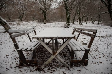 Kış ormanında karla kaplı eski ahşap bir masa. Karlı bir arka plan. kış doğası konsepti.