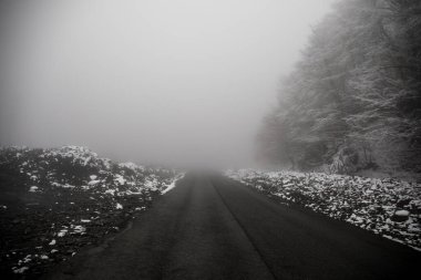 Dağlardaki kış ağaçları taze karla kaplıdır. Karla kaplı ağaç dallarıyla güzel sisli bir manzara. Kafkasya 'daki dağ yolunda. Azerbaycan