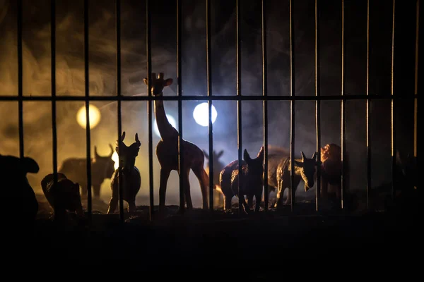 A group of animals inside a cage miniature. Wild animals in the zoo concept. Burning colorful background. Selective focus.