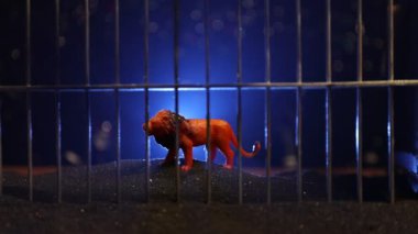 Hayvanat bahçesi kafesinde duran aslan minyatür silueti özgürlük hayalleri kuruyor. Renkli arka planlı sisli yaratıcı dekorasyon