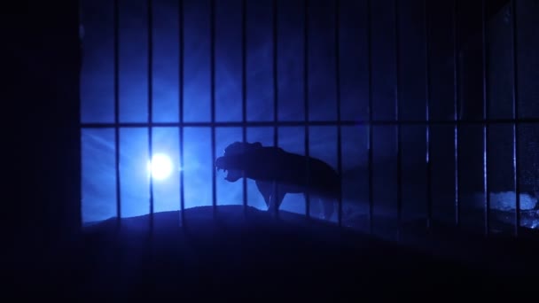Silueta Miniatury Lva Stojící Kleci Zoo Sní Svobodě Kreativní Dekorace — Stock video