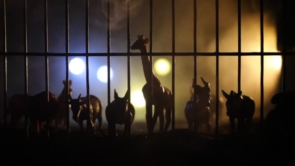 笼内的一群动物 野生动物在动物园的概念 燃烧着五彩缤纷的背景有选择的重点 — 图库视频影像