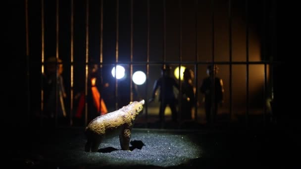 Silhouette Orso Miniatura Piedi Gabbia Zoo Sogni Libertà Decorazione Creativa — Video Stock